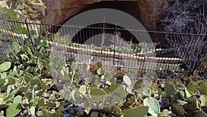 Looking from Cactus Up to the Natural Entrance