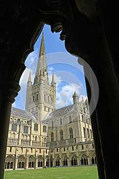 Looking through the cloisters