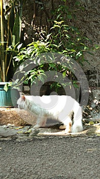 Looking for a comfortable place