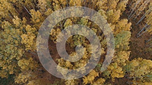 Looking down on amazingly beautiful autumn colors,forests,trees, aerial drone flyover view. drone shot