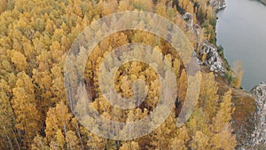 Looking down on amazingly beautiful autumn colors,forests,trees,rock,river aerial drone flyover view. drone shot