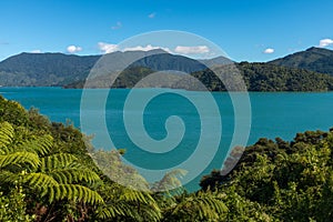 Looking down the beautiful and stunning Marlborough Sound and the surrounding hills at the top of the South Island, New Zealand on