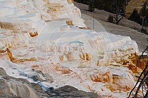 Looking down on the beautiful terraces of one of Mammoth Hot Springs waterfalls.