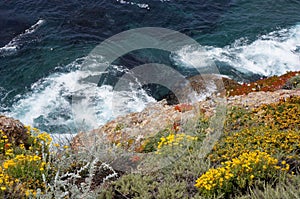 Looking down at the California Coastline with wild flowers and white water waves