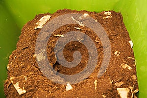 Looking Down into Compost Bin Soil