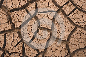 Looking down on Cracks in Dried Mud