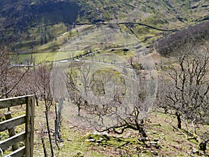 Looking down into the Dovedale valley, Lake District
