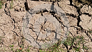 Looking down on the dried area of mud at the entrance of a meadow, after warm weather