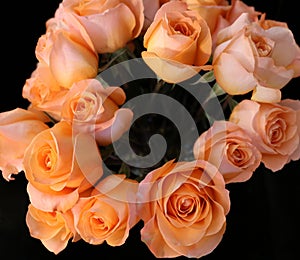 Looking down at eighteen long stem orange-peach roses in a glass vase