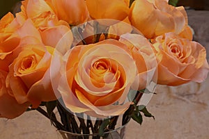 Looking down at eighteen long stem orange-peach roses in a glass vase