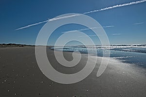 Looking down flat beach with flock of birds