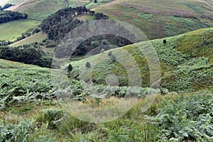 Looking down Golden Clough