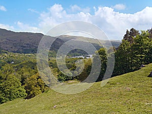 Looking down grassy bank