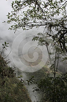 Looking down at Machu Picchu through the clouds and trees from atop Huayna Picchu in the Andes Mountains