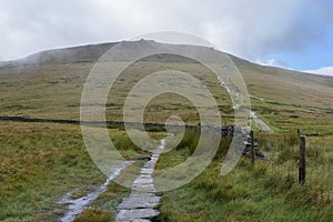 Approaching junction of paths with Swine\'s Back area up there photo