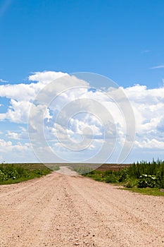 Looking down the perspective of a lonesome dirt road.