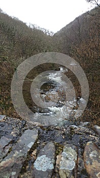 Looking down at a snaking river