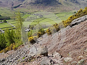 Looking down from rocky hillside to valley below