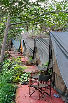 Looking down a row of canvas safari tents