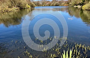 Looking down at Smiths Pool