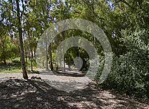 Looking down the Trail at the entrance of the Raja Ancha Recreation Area on the outskirts of Pizarra in Andalucia. photo