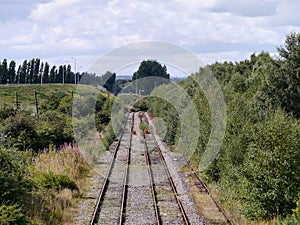 Looking down unused railway line