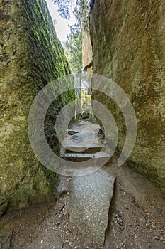 Looking into a fairylike narrow passage