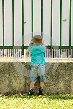 Looking through the fence