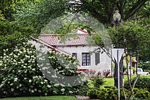 Looking through flowering bushes and trees at southwestern adobe style house with tiled roof in beautiful spring neighborhood with