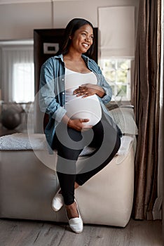 Looking forward to this amazing journey ahead. a pregnant woman looking thoughtful at home.