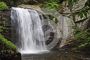 Looking Glass Falls in the Summer