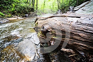 Looking Glass Falls Pisgah National Forest North Carolina