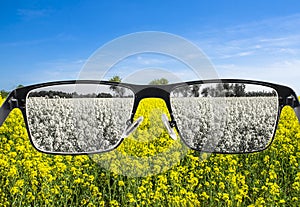 Looking through glasses to bleach nature landscape photo