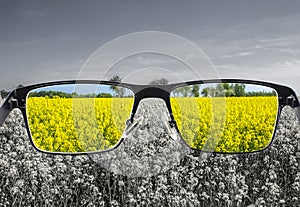 Looking through glasses to colorful nature landscape with blue sky and yellow field