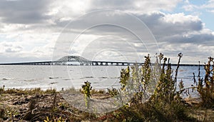 Looking at the Great South Bay bridges from a marshy area on the coast