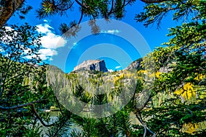 Looking at Hallet Peak through a Pine Tree