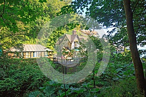 Looking at the house through the trees