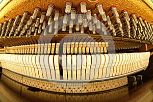 Looking inside an upright piano. Fisheye lens.