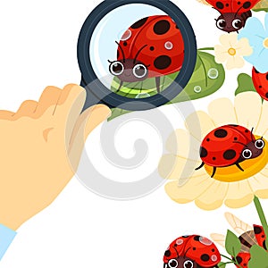 Looking at ladybug. man analyse insects through magnifying glass. vector cartoon background