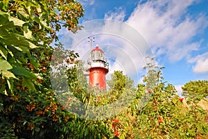 Looking at the lighthouse of Vlieland photo