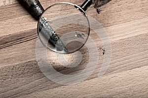 Looking through a magnifying glass at a knife for crime scene clues