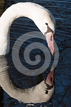 Looking in the mirror