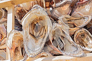 Looking into the mouth of a stockfish