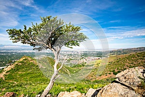 Looking from Nature to Salt Lake City