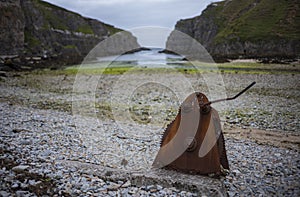 Looking north towards Geodha Smoo at Smoo Cave, a large combined sea cave and freshwater cave in Durness in Sutherland, Highland,