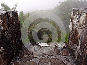 Looking out into foggy forest on top of Mt. Britton lookout tower