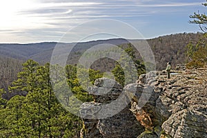 Looking out on a Forest Panorama