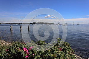 Looking out over Casco Bay in PortlandMaine