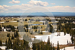 Looking Out Over Melting Snow in Medicine Bow, Wyoming