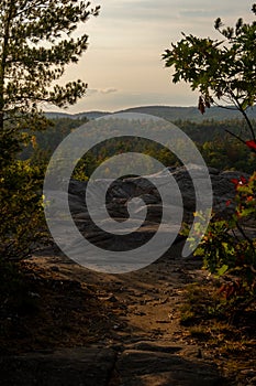 Looking out over a rocky cliff from tree cover